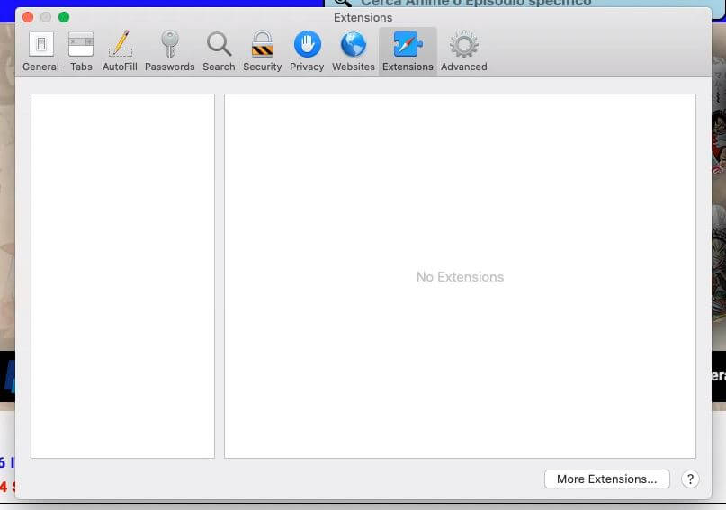 Safari Extensions