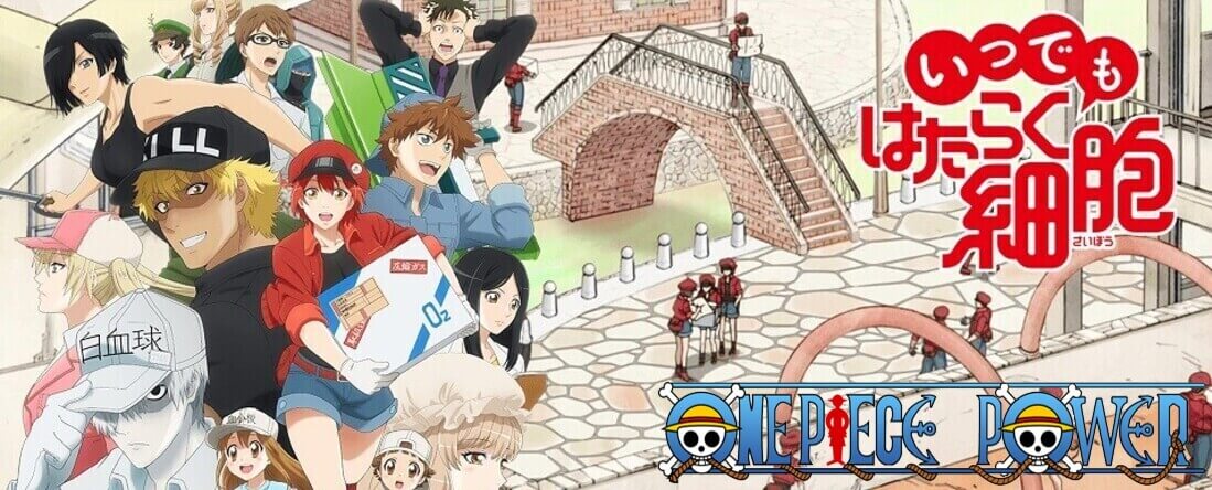 Copertina Hataraku Saibou Manga Ita